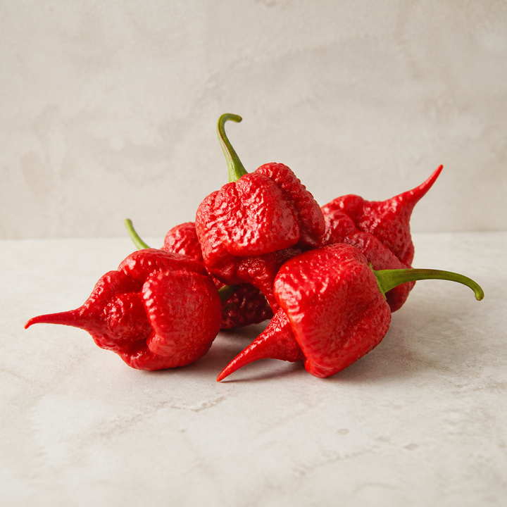 Frische rote Carolina Reaper Chilis