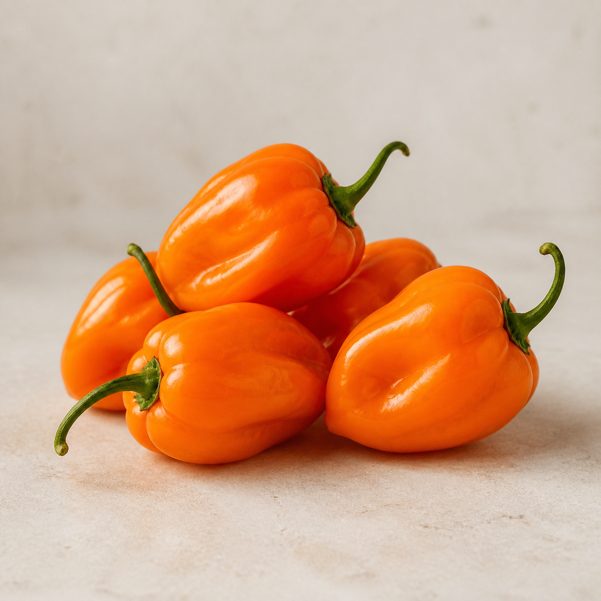 Frische orange Habanero Chilis